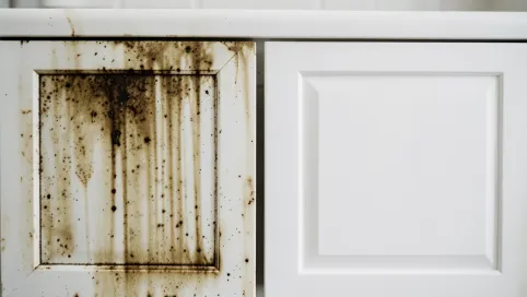 Biała Farba do renowacji mebli kuchennych